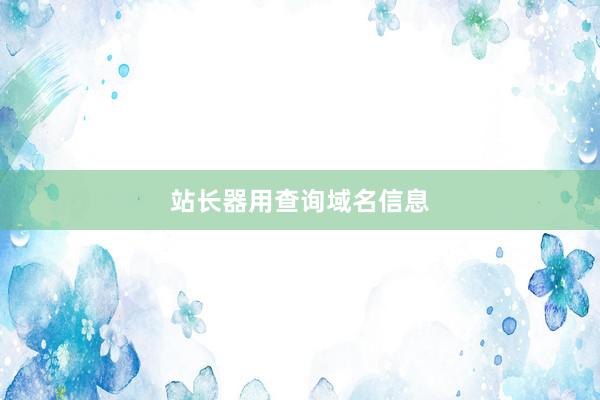 站长器用查询域名信息