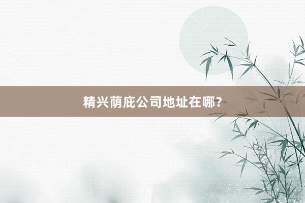 精兴荫庇公司地址在哪？