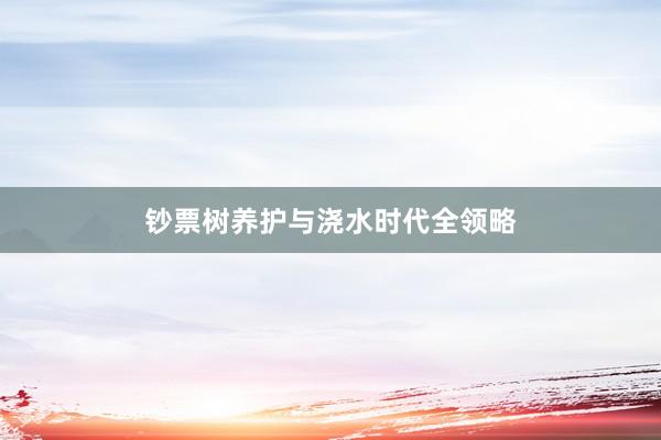 钞票树养护与浇水时代全领略