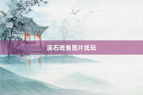 溪石斑鱼图片抚玩
