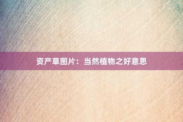 资产草图片：当然植物之好意思