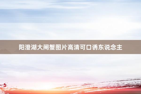 阳澄湖大闸蟹图片高清可口诱东说念主